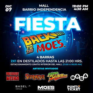 Fiesta 07/12 Back